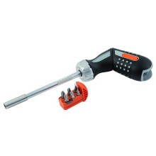 Pistol handle ratcheting screwdriver with bits PH1/2,PZ1/2,SL4,5/5,5 6 pcs
