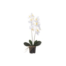 4Living Orchid in pot 59 cm