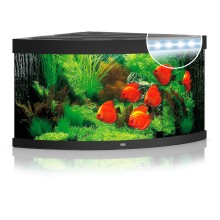 Aquarium Trigon LED 350 L black