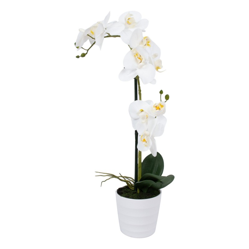 White orchid with 2 branch IN GARDEN, H51cm, white pot