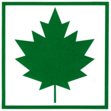 Plastic maple leaf 1pc