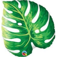 Jr.Shape' Tropical Philodendron