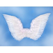 Wings white 75*45cm