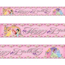 Banner4,5m (Disney Princess)