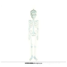 Skeleton body 75cm