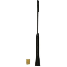 Roof antenna with AM/FM amplifier