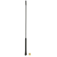 Roof antenna with AM/FM amplifier