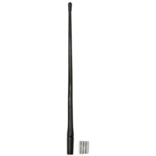 Roof antenna with AM/FM amplifier