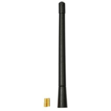Roof antenna with AM/FM amplifier