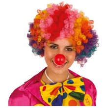 Clown wig multicolor