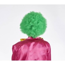 Clown wig green