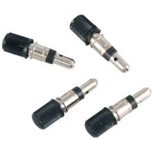 Dunlop valve set