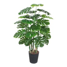 Green plant MONSTERA, H120cm, 5 branches, black pot