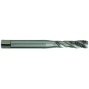 HSSE DIN machine tap Spiral flute 35° F N°10