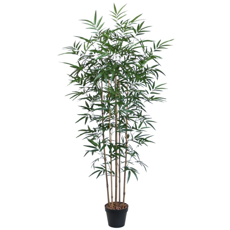 Green plant BAMBOO H150cm Green plant BAMBOO H150cm