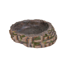 Reptile pool, 35 × 9 × 34 cm