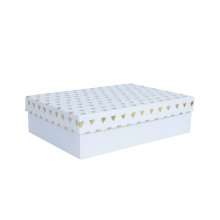Box ELSA 19x13,5cm, with a lid kuld/hõbe, white