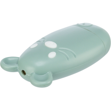 Laser pointer, plastic, USB, 7 cm, sage