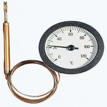 Thermometer TC50 with capillary ( L eq 1000mm ) WATTS