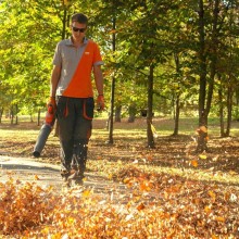 Cordless leaf blower 21w/dabl 5521li set, Daewoo