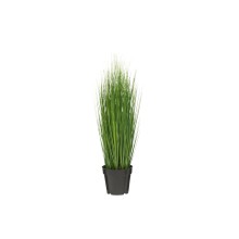 4Living Onion Grass 76 cm