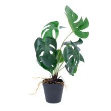 Artificial plant GREENLAND H40cm, Monstera