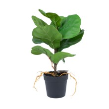 Artificial plant GREENLAND H35cm, Clusia rosea