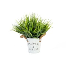 Green plant IN GARDEN D20xH25cm, grass, flowerpot D10xH10cm
