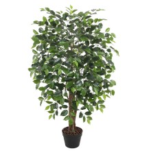 Green plant FICUS H120cm