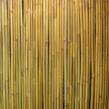Punched bamboo fence IN GARDEN 1,5x3m, D14/16mm