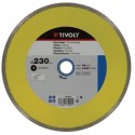 Diamond disc Tivoly continuous 125x22,2mm