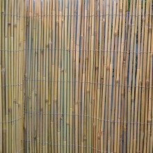 Bamboo cane fence IN GARDEN 1x5m, D5/10mm