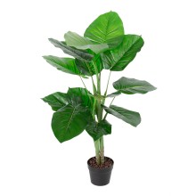 Green plant POTHOS H90cm