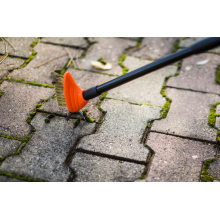 Wire brush for grout