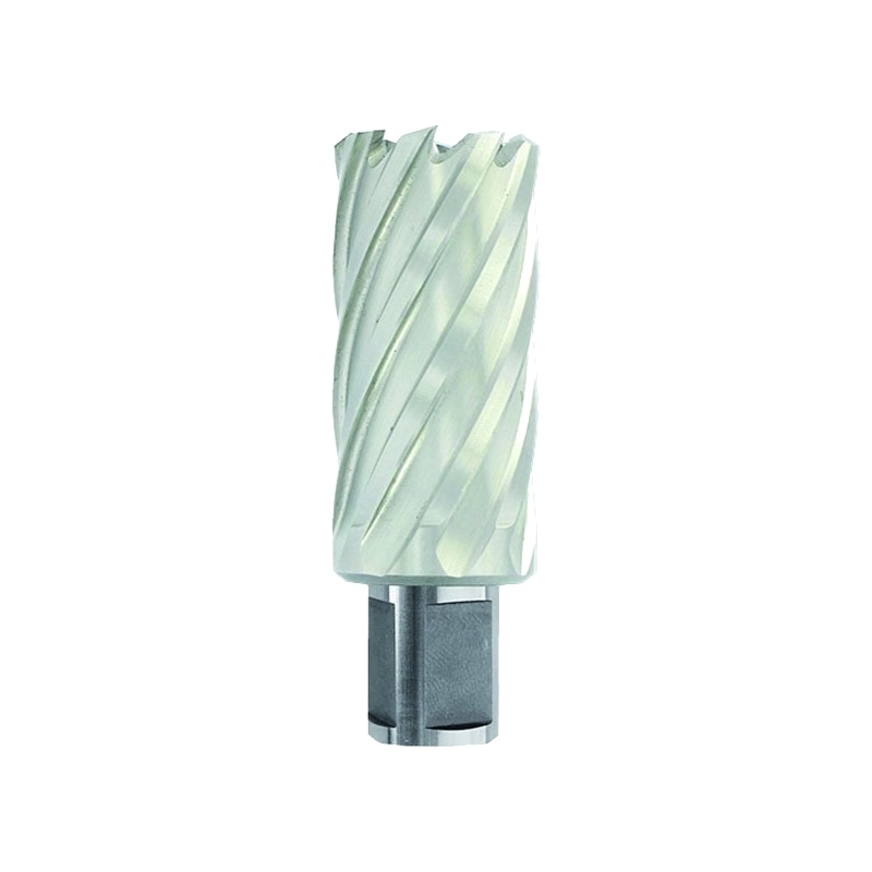 HSS Сore Drill Ø40X60X30 mm, short series. Weldon shank Ø19 mm. Bright, uncoated HSS Сore Drill Ø40X60X30 mm, short series. Weldon shank Ø19 mm. Bright, uncoated