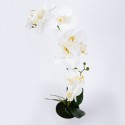 Белая орхидея с 2 ветками IN GARDEN, H51см, белый горшок