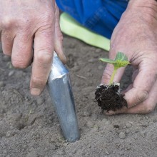 Conical metal planter - 29 cm for potting