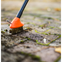 Wire brush for grout