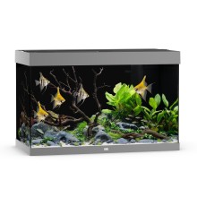 Aquarium Rio LED 290 L grey