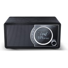 Sharp, Digital Radio, DR-450(BK)
