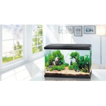 Aquarium WONDER PALACE WP40 37,8L 515x261x319mm