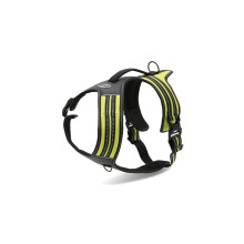 Record braces for dogs 60/72cm M yellow
