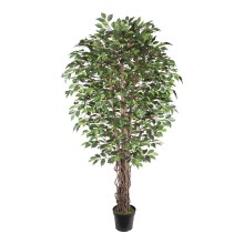 Artificial tree WIND FICUS H210cm