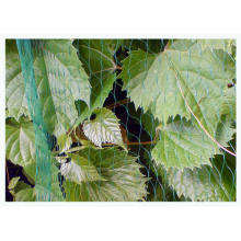 BIRD NET 7g/m2 19x19mm 3x5m