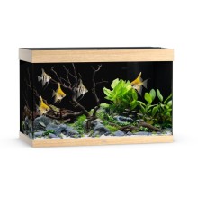 Aquarium Rio LED 290 L light wood