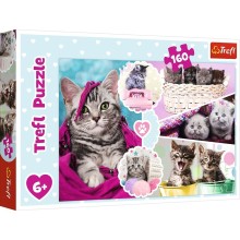 TREFL puzzle Kittens 160 pcs