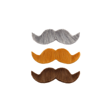 Mustache 1pc