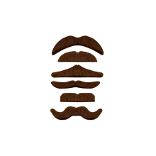Mustache 1pc