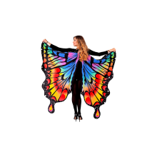 Wings of a butterfly Rainbow