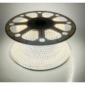 LED strip Tamoline, 50m